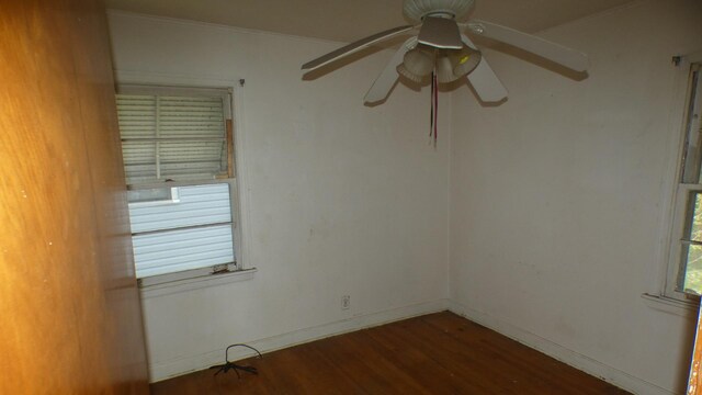 7704 S Homan Ave, Chicago, IL 60652 - photo 14