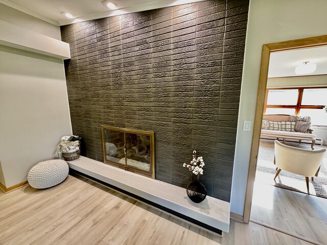 221 Thornbrook Rd, Dekalb, IL 60115 - detailed view of a glass covered fireplace, wood finished floors, and crown molding