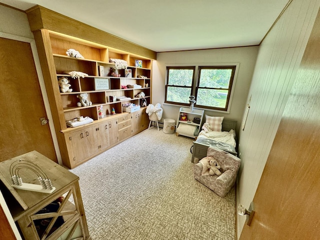221 Thornbrook Rd, Dekalb, IL 60115 - living area with carpet flooring, wooden walls, and a baseboard radiator