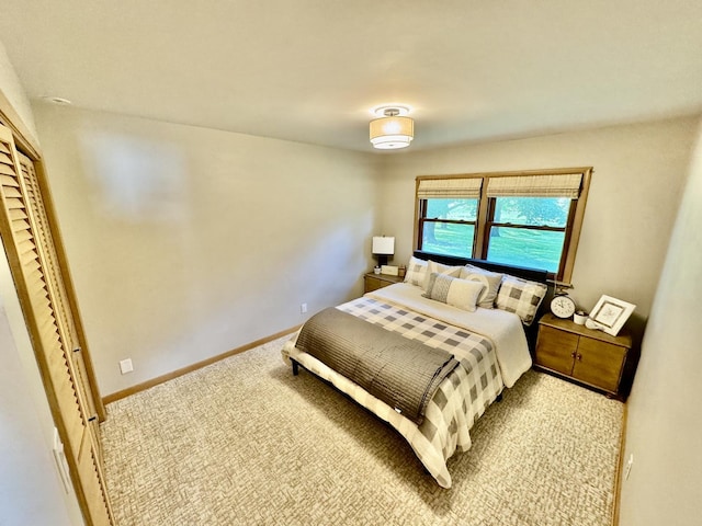 221 Thornbrook Rd, Dekalb, IL 60115 - carpeted bedroom featuring baseboards and a closet
