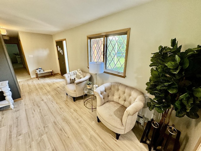 221 Thornbrook Rd, Dekalb, IL 60115 - living area featuring light wood finished floors