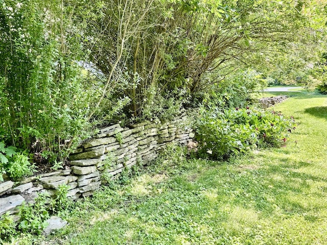 221 Thornbrook Rd, Dekalb, IL 60115 - view of nature