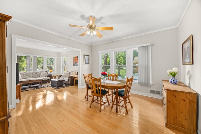 2159 N Nordica Ave, Chicago, IL 60707 - dining area with a ceiling fan, light wood-type flooring, healthy amount of natural light, a textured ceiling, and crown molding