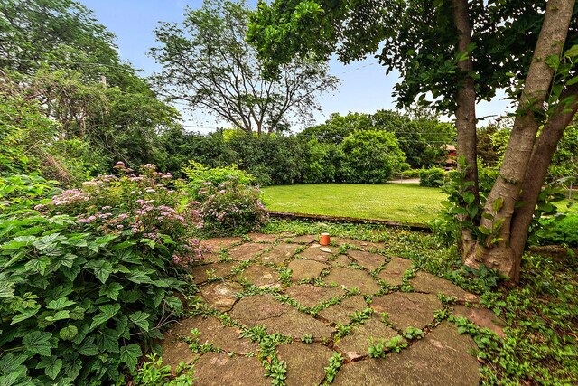 500 Bunning Dr, Downers Grove, IL 60516 - photo 21