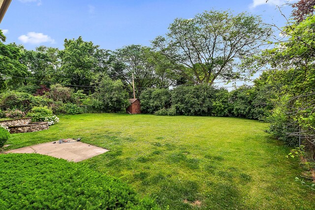 500 Bunning Dr, Downers Grove, IL 60516 - photo 23