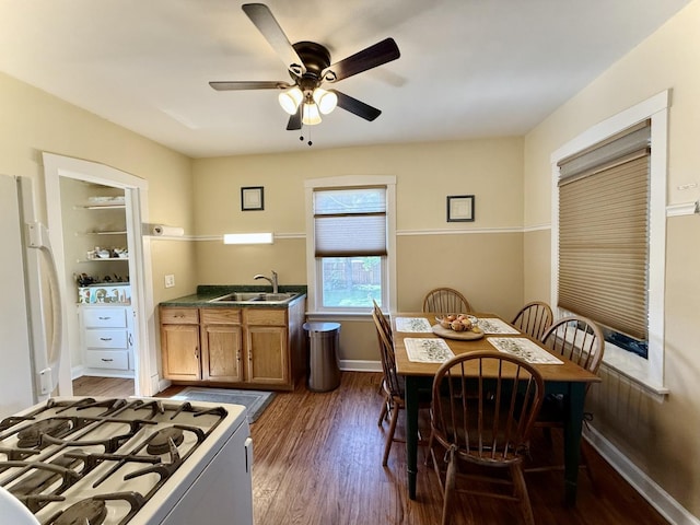 98 Northgate Rd, Riverside, IL 60546 - dining area featuring a ceiling fan and wood finished floors