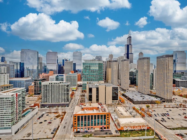 737 W Washington Blvd Unit 3003, Chicago, IL 60661 - view of city skyline