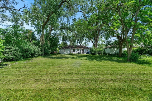 930 S Chatham Ave, Addison, IL 60101 - view of green lawn