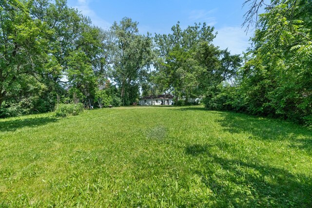 930 S Chatham Ave, Addison, IL 60101 - view of green lawn