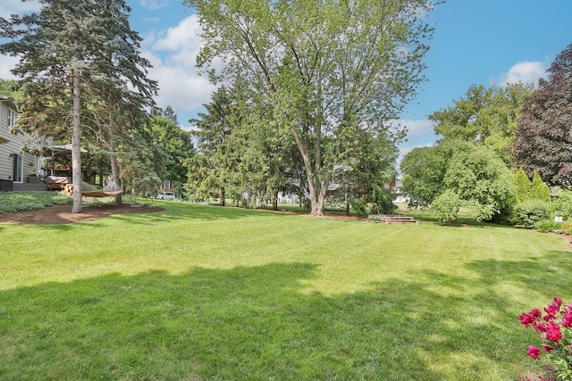110 Tudor Dr, Barrington, IL 60010 - view of grassy yard