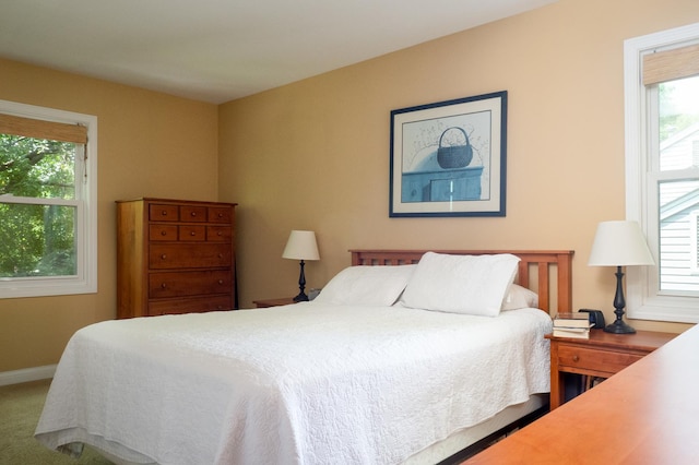 1903 Ronzheimer Ave, Saint Charles, IL 60174 - carpeted bedroom with multiple windows