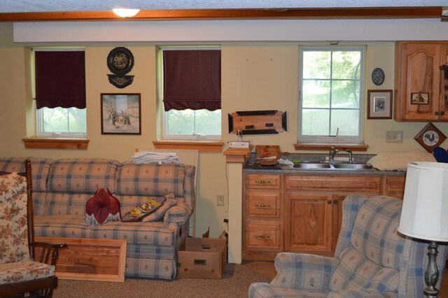 1425 Shorewood Dr, Saint Anne, IL 60964 - photo 20