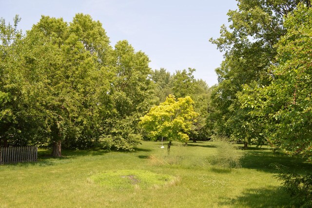 1425 Shorewood Dr, Saint Anne, IL 60964 - photo 10