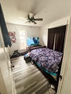 221 E Main St, Genoa, IL 60135 - bedroom featuring wood finished floors and a ceiling fan