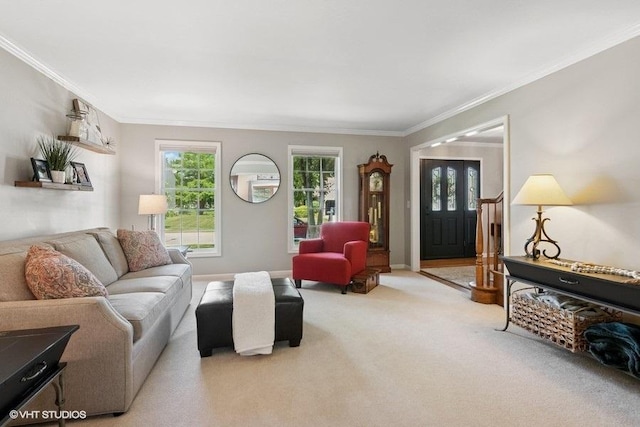 2325 Fairfax Rd, Saint Charles, IL 60174 - living room featuring carpet floors and ornamental molding