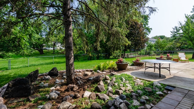 908 Claremont Dr, Downers Grove, IL 60516 - fenced backyard featuring a patio