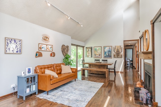 908 Claremont Dr, Downers Grove, IL 60516 - living room with rail lighting, wood finished floors, high vaulted ceiling, a fireplace, and a textured ceiling