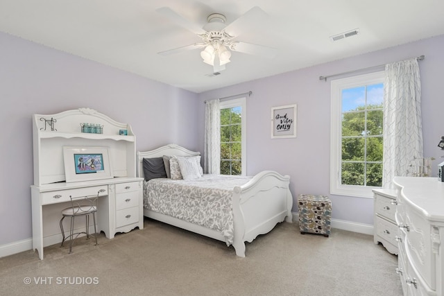 9750 Stonecastle Ln, Lakewood, IL 60014 - photo 28