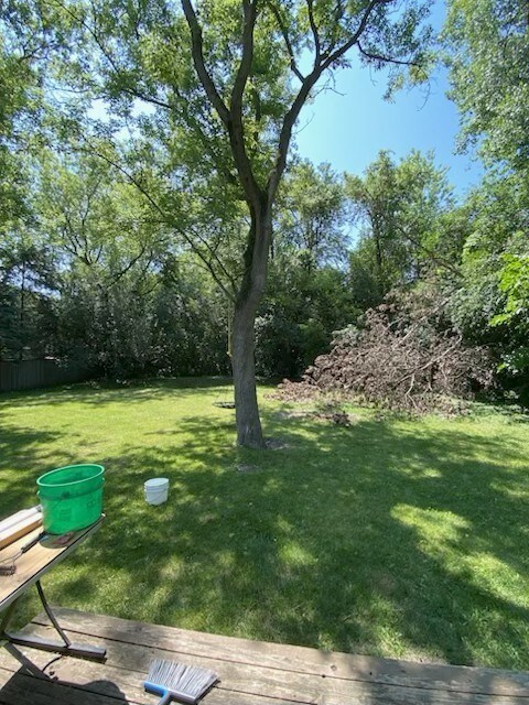 3007 30th St, Zion, IL 60099 - view of green lawn