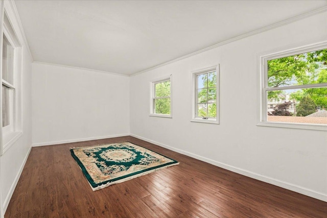 633 Forest Ave, Wilmette, IL 60091 - spare room featuring ornamental molding and wood finished floors