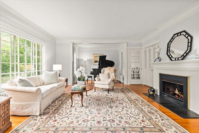 633 Forest Ave, Wilmette, IL 60091 - living room featuring light wood-style floors, ornamental molding, and a fireplace with flush hearth