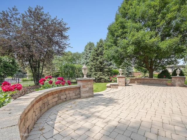 508 Gene Darfler Ct, Naperville, IL 60565 - view of patio
