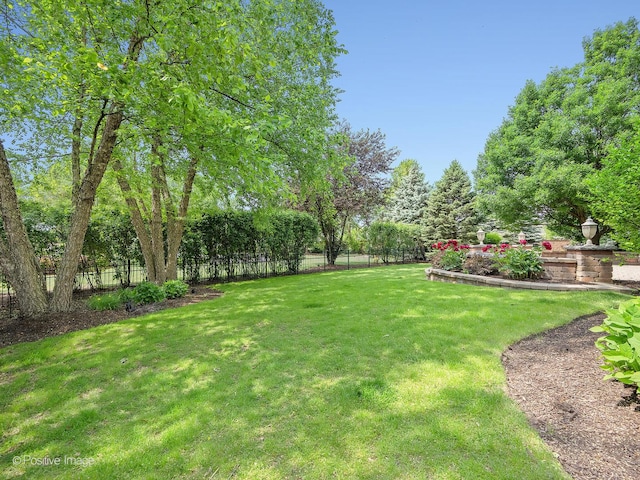 508 Gene Darfler Ct, Naperville, IL 60565 - view of yard