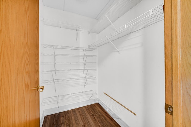 1636 Ashland Ave Unit 209, Des Plaines, IL 60016 - spacious closet with dark wood finished floors