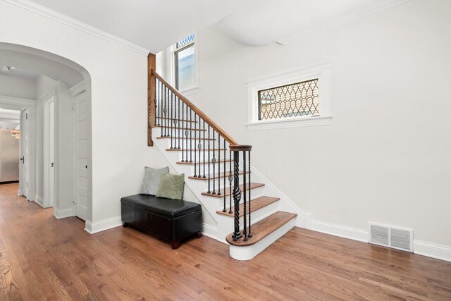 237 S Elmwood Ave, Oak Park, IL 60302 - photo 7