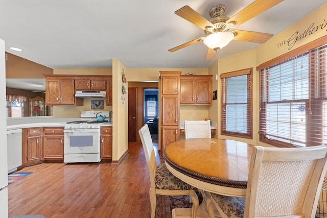 107 Sibley Dr, Minooka, IL 60447 - dining area featuring wood finished floors, healthy amount of natural light, ceiling fan, and recessed lighting