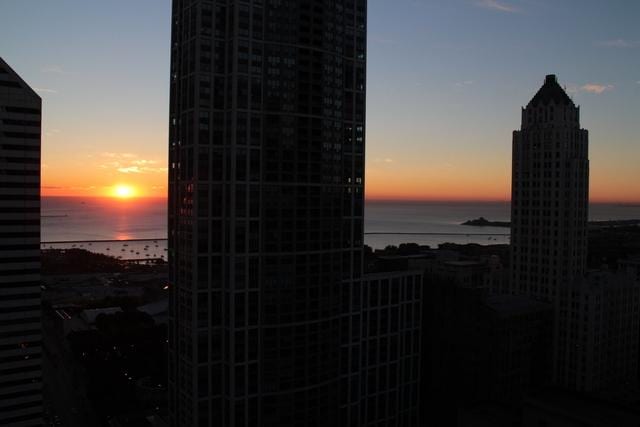 8 E Randolph St Unit 3203, Chicago, IL 60601 - city view featuring a nearby body of water