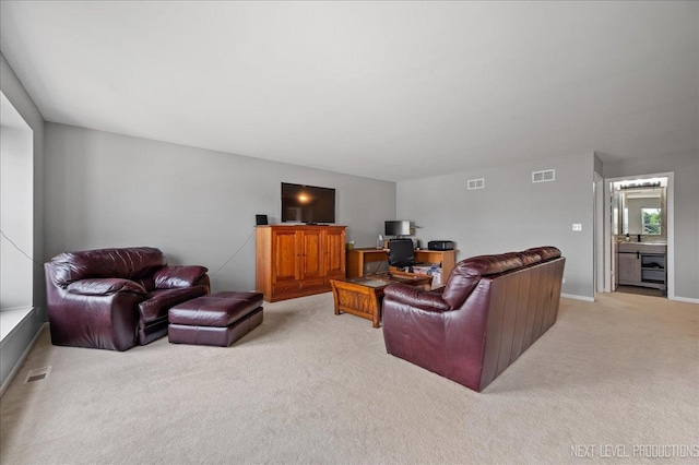 109 Evergreen Dr, Kirkland, IL 60146 - photo 17