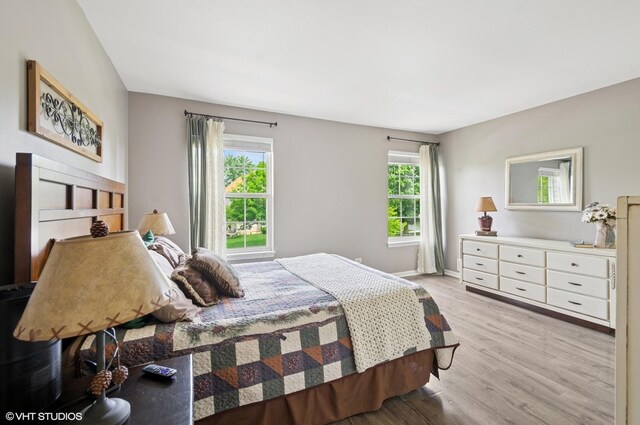 2570 Fairfax Ln, Lake In The Hills, IL 60156 - bedroom with multiple windows and light wood-style floors