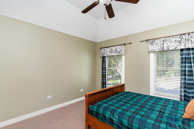 3919 Callander Ct, Naperville, IL 60564 - photo 36