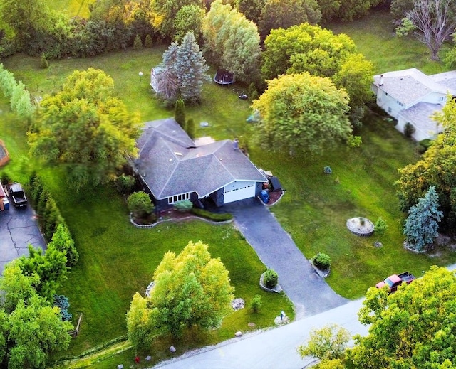 12620 S Kinvarra Dr, Palos Park, IL 60464 - aerial view of property and surrounding area
