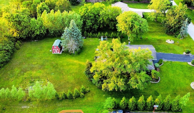 12620 S Kinvarra Dr, Palos Park, IL 60464 - aerial view