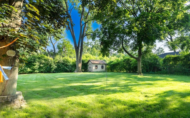 1333 W 59th St, La Grange Highlands, IL 60525 - view of green lawn with a storage shed and view of scattered trees
