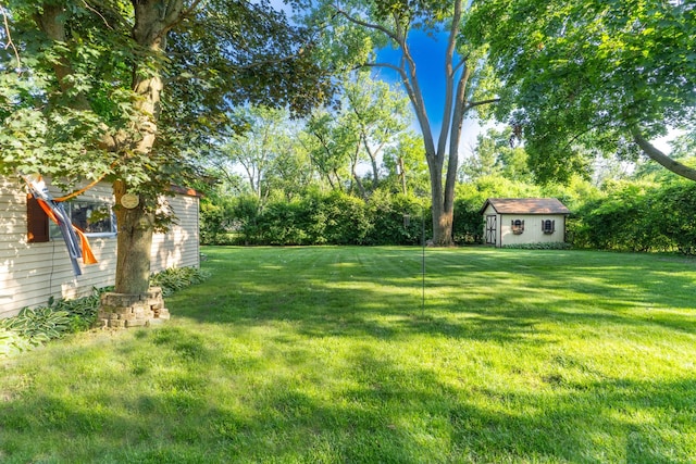 1333 W 59th St, La Grange Highlands, IL 60525 - view of grassy yard featuring a storage unit and view of wooded area