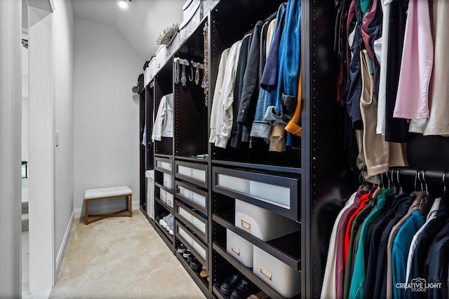 3578 Doral Dr, Elgin, IL 60124 - spacious closet featuring carpet and lofted ceiling