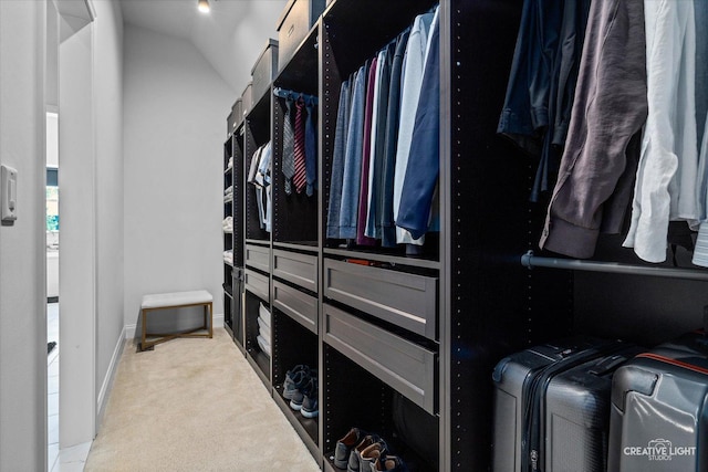 3578 Doral Dr, Elgin, IL 60124 - spacious closet featuring carpet flooring and lofted ceiling
