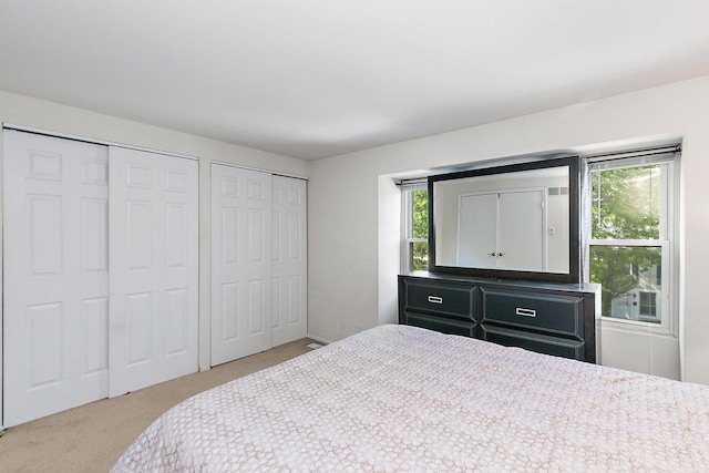 2165 Greystone Pl, Hoffman Estates, IL 60169 - carpeted bedroom with two closets and multiple windows