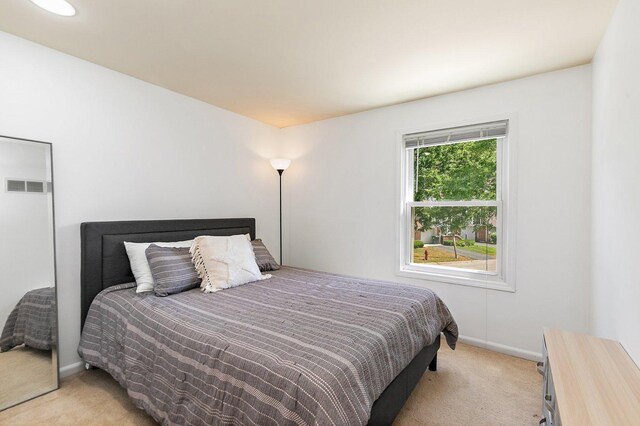 2165 Greystone Pl, Hoffman Estates, IL 60169 - bedroom featuring light carpet