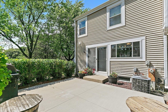 2165 Greystone Pl, Hoffman Estates, IL 60169 - view of patio / terrace with area for grilling