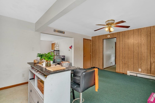 107 N Elm St, Gardner, IL 60424 - office space featuring ceiling fan, baseboard heating, and wooden walls