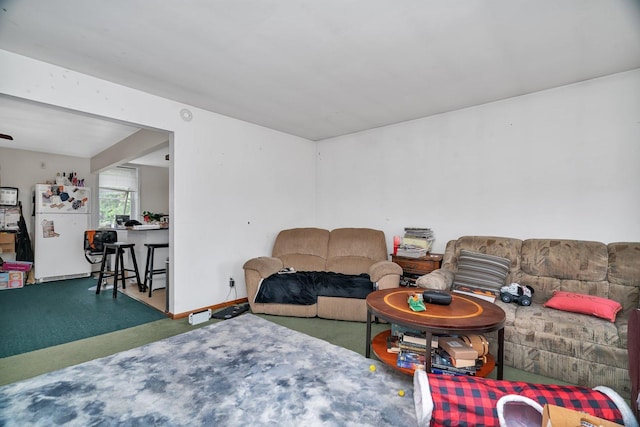 107 N Elm St, Gardner, IL 60424 - living room with carpet