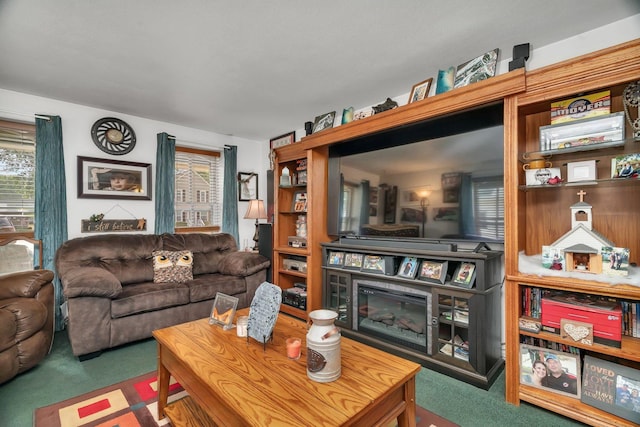 107 N Elm St, Gardner, IL 60424 - view of carpeted living room