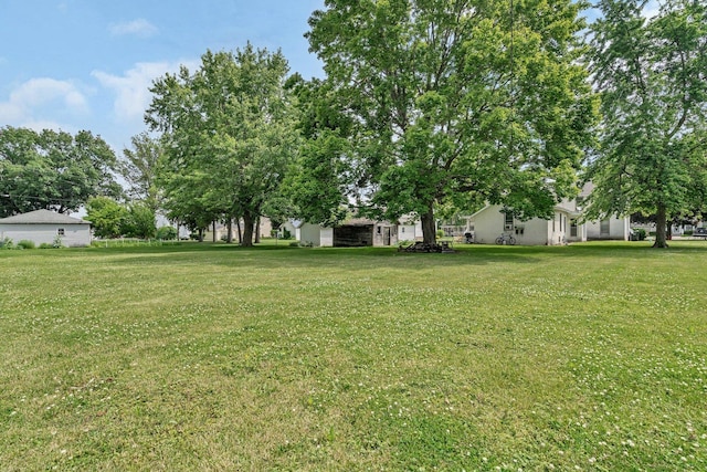 107 N Elm St, Gardner, IL 60424 - view of green lawn