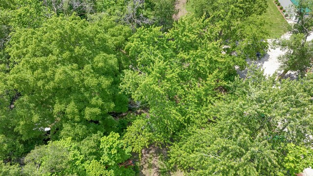 319 N Third St, Fisher, IL 61843 - aerial overview of property's location