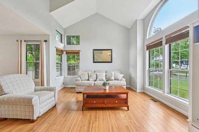 1643 Warrington Ln, Crystal Lake, IL 60014 - living room featuring high vaulted ceiling and light wood-style floors