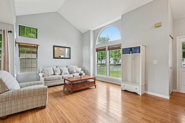1643 Warrington Ln, Crystal Lake, IL 60014 - living area featuring high vaulted ceiling and light wood-style flooring